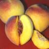 Red Baron Peach
